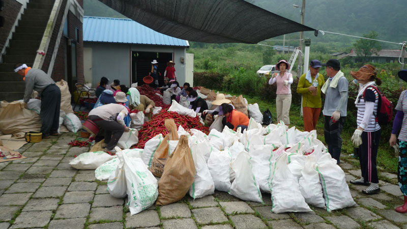 ���ߵ����� 2013��