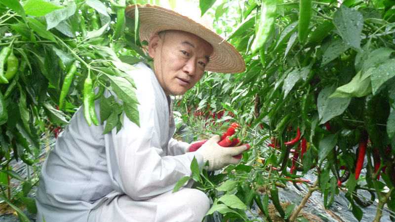 ���ߵ����� 2013��