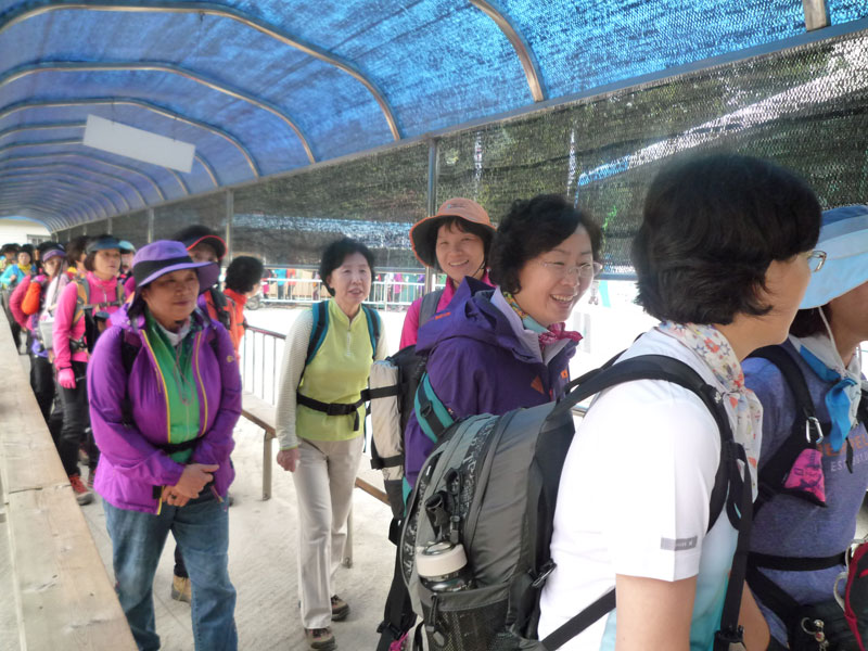 ������ �������� 2013��