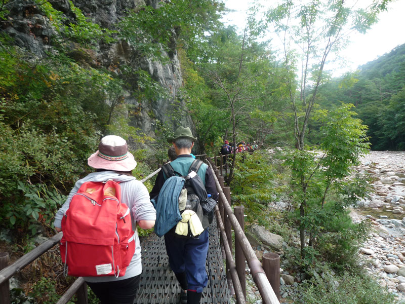 ������ �������� 2013��