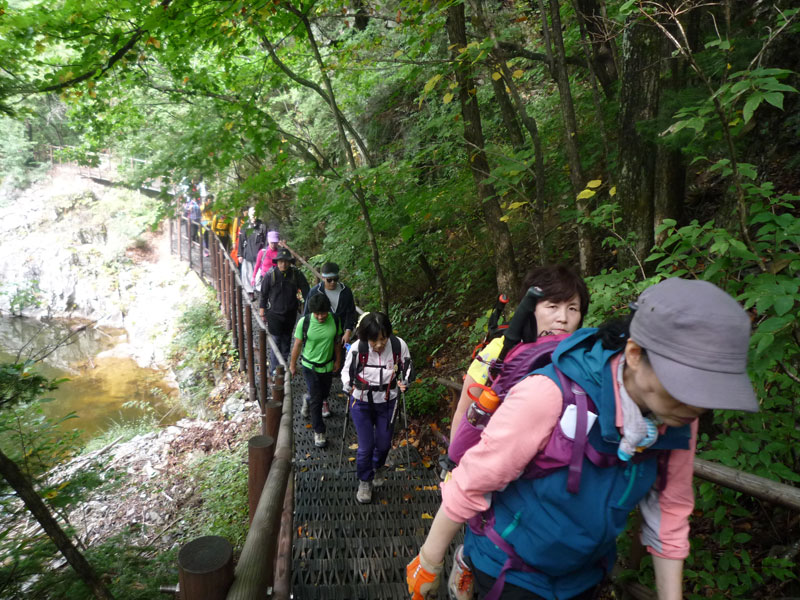 ������ �������� 2013��