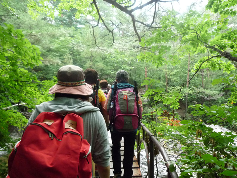 ������ �������� 2013��