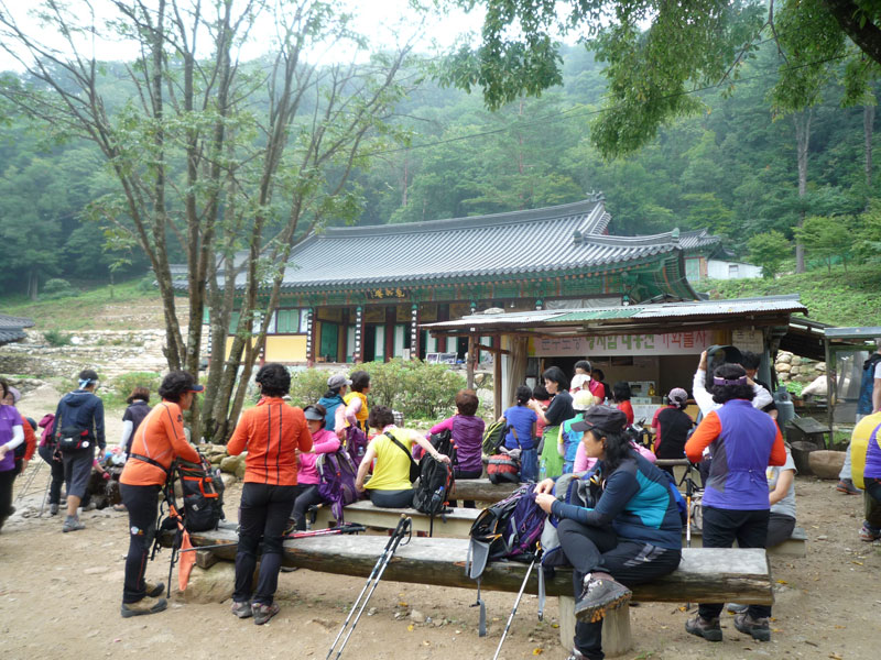 ������ �������� 2013��