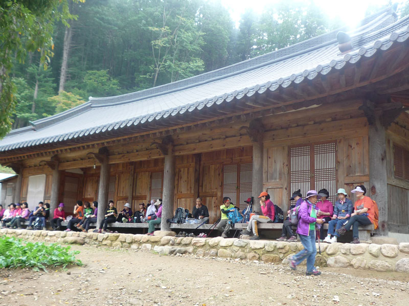 ������ �������� 2013��