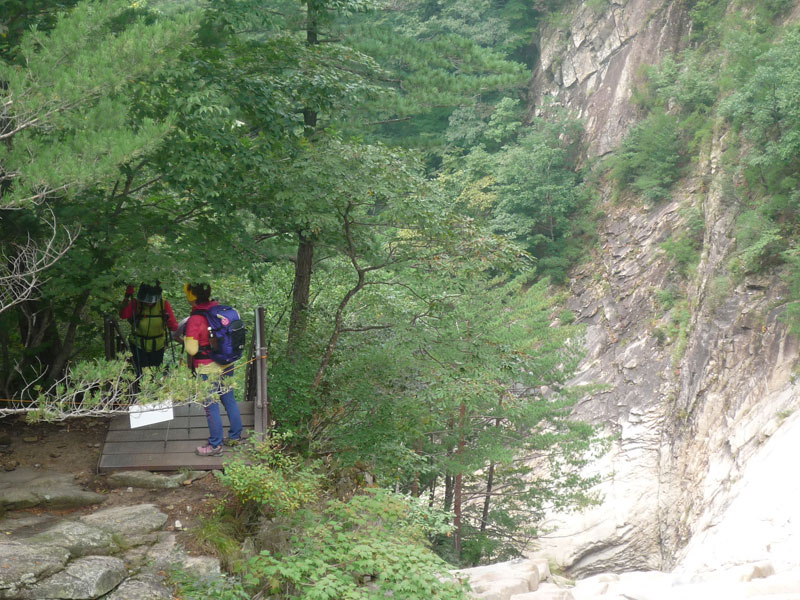 ������ �������� 2013��