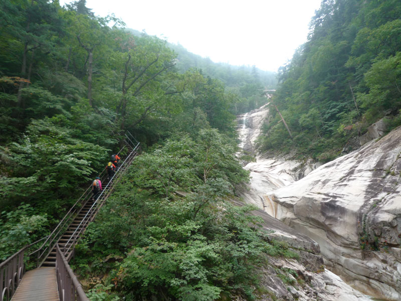 ������ �������� 2013��