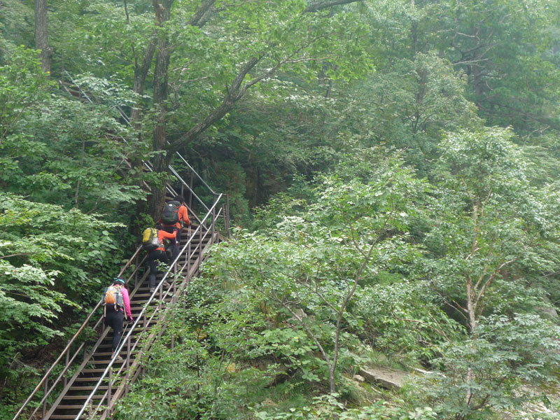 ������ �������� 2013��