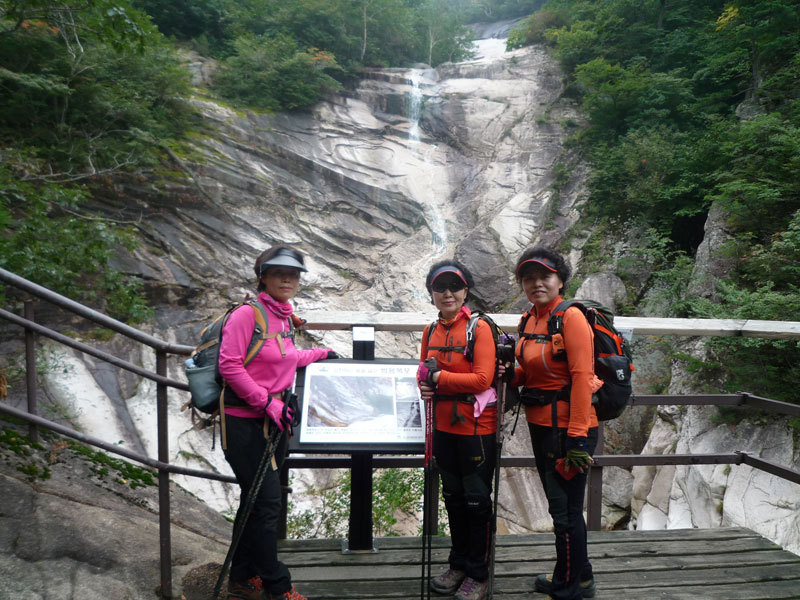 ������ �������� 2013��