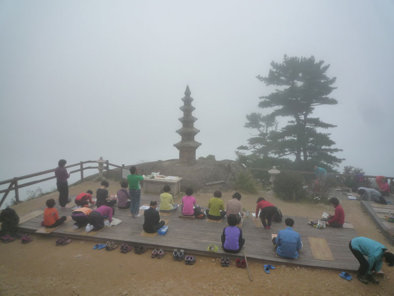 ������ �������� 2013��