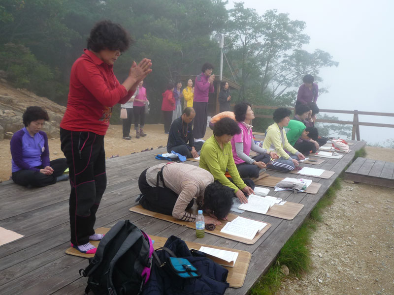 ������ �������� 2013��