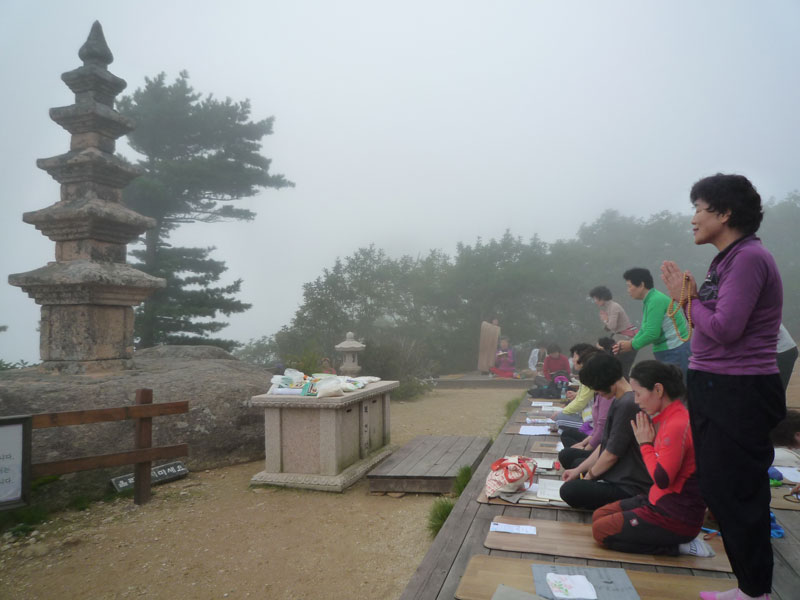 ������ �������� 2013��