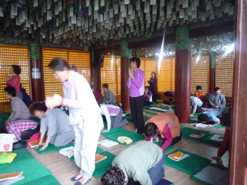 ������ �������� 2013��