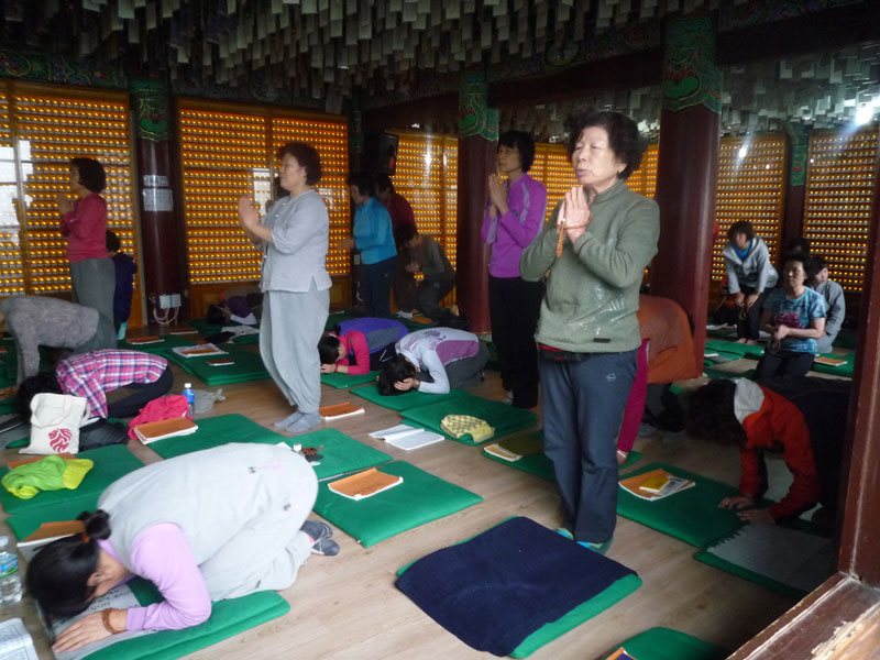 ������ �������� 2013��