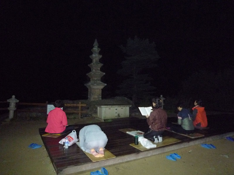 ������ �������� 2013��