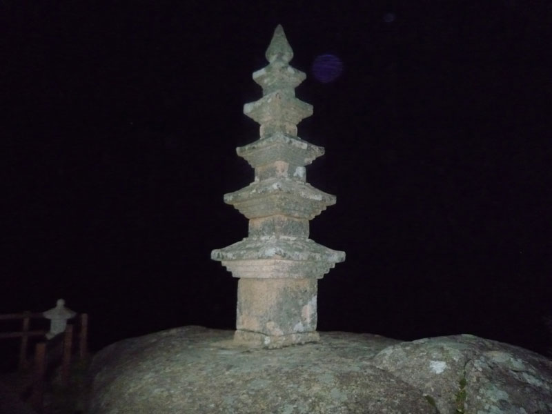 ������ �������� 2013��