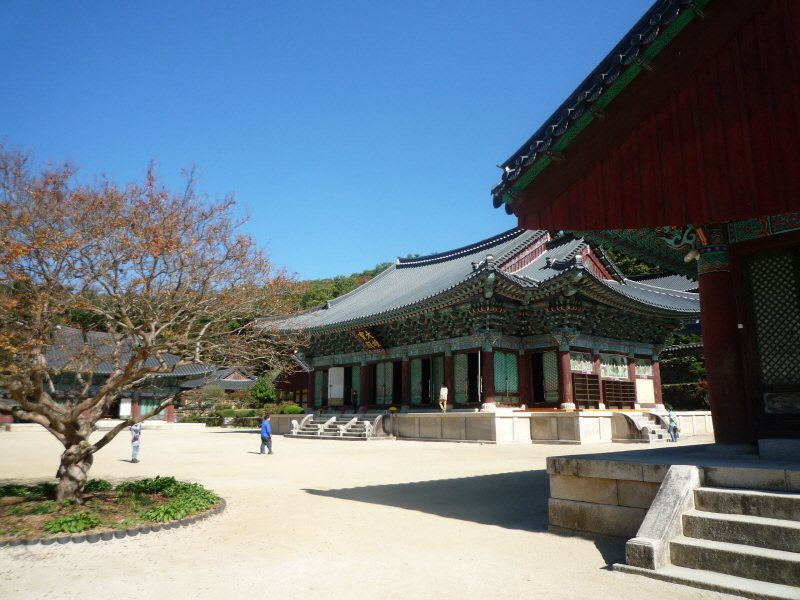 �۱��� ��9ȸ �ݰ��긲���ȸ