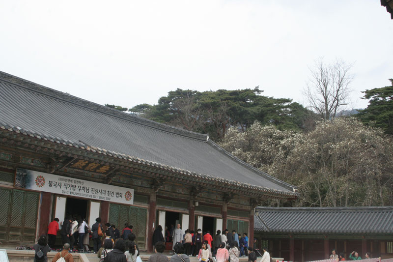 �ұ��� ��������