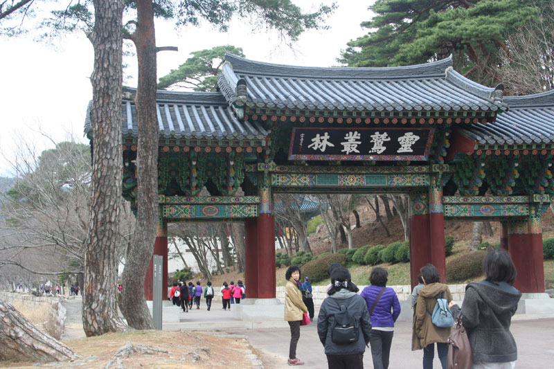 ���ϴ����� ź�� 100�ֳ� �ٷ���