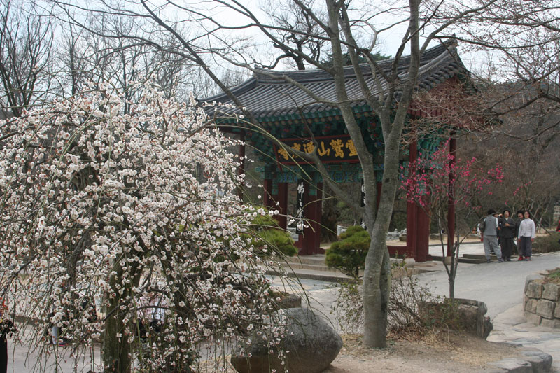 ���ϴ����� ź�� 100�ֳ� �ٷ���