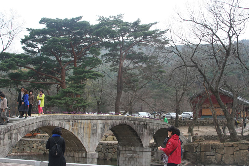 ���ϴ����� ź�� 100�ֳ� �ٷ���