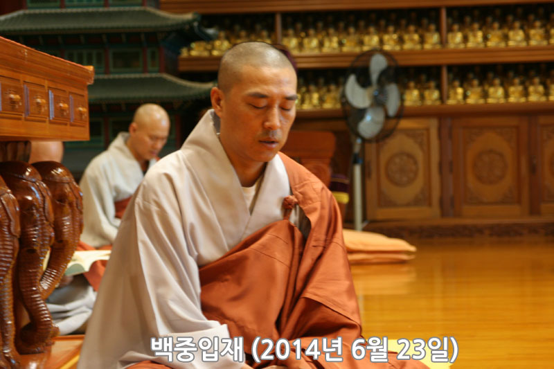 �������� 2014��