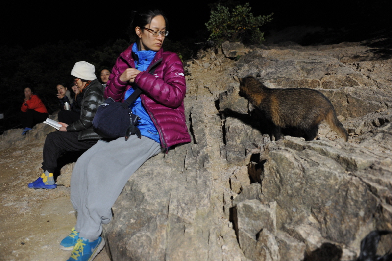 ������ ��������(9��19~20��)