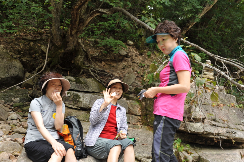 ������ ��������(9��19~20��)