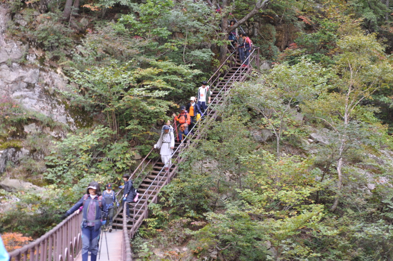 ������ ��������(9��19~20��)