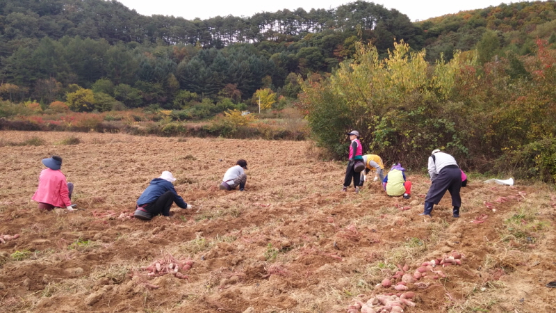 ��õ ������ ��Ȯ(2014�� 10�� 13��)