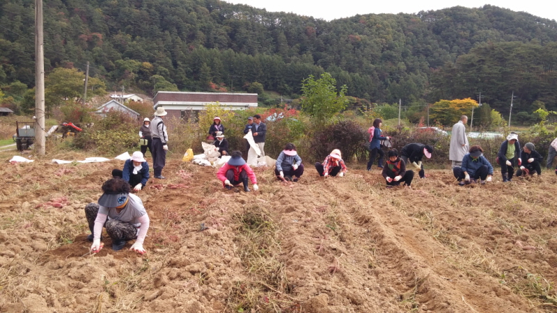 ��õ ������ ��Ȯ(2014�� 10�� 13��)