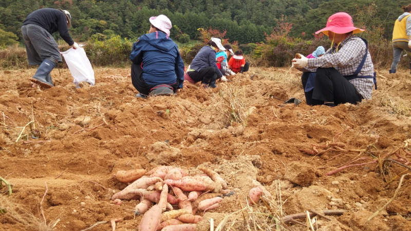 ��õ ������ ��Ȯ(2014�� 10�� 13��)