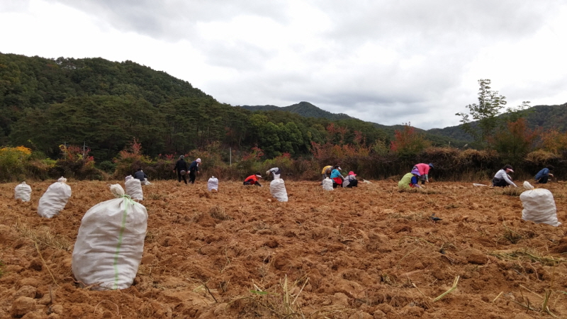 ��õ ������ ��Ȯ(2014�� 10�� 13��)