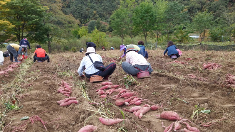 ��õ ������ ��Ȯ(2014�� 10�� 13��)