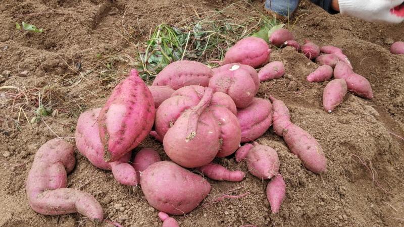 ��õ ������ ��Ȯ(2014�� 10�� 13��)