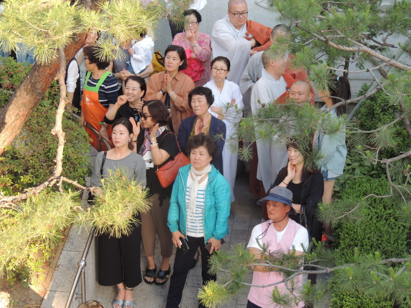 �ұ� 2559�� ��ó�� ���ų�