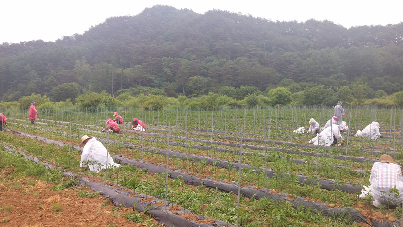 ���� �� ���� ��� 2015��