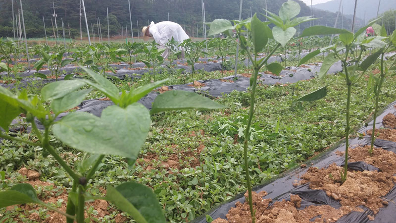 ���� �� ���� ��� 2015��