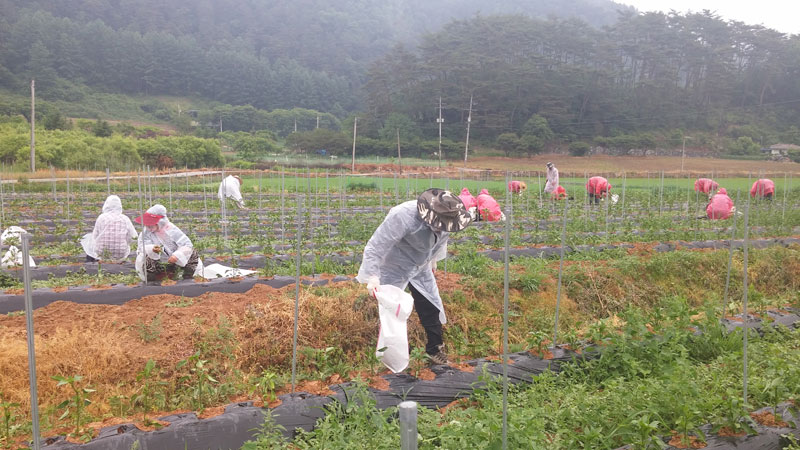 ���� �� ���� ��� 2015��