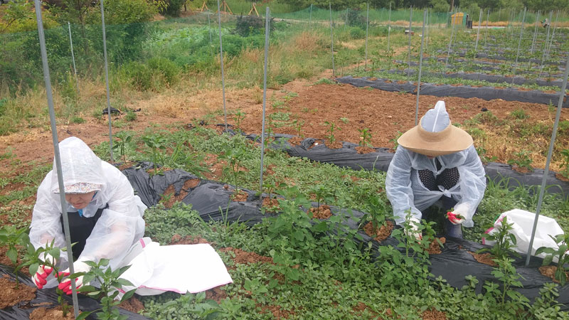 ���� �� ���� ��� 2015��