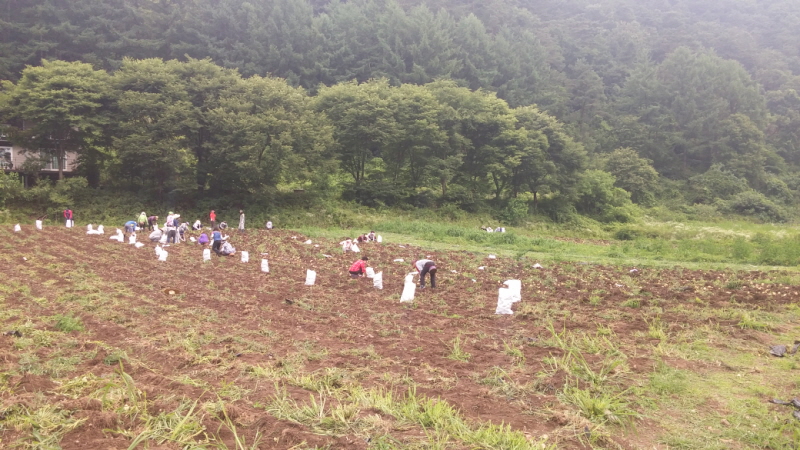 ��õ ��ó�Ը��� ���ڼ�Ȯ(2015�� 7�� 6��)