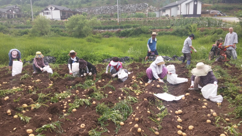 ��õ ��ó�Ը��� ���ڼ�Ȯ(2015�� 7�� 6��)