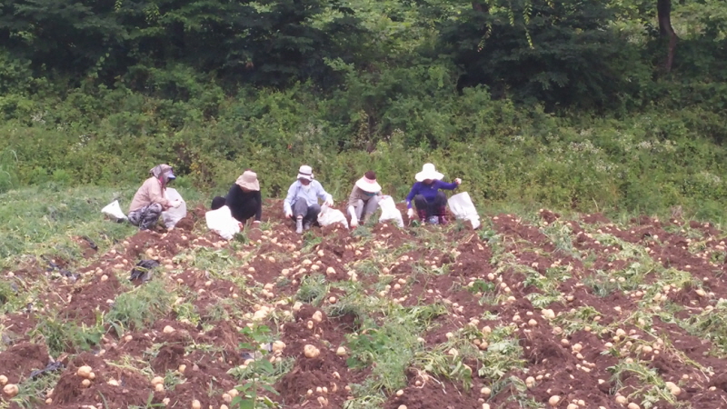 ��õ ��ó�Ը��� ���ڼ�Ȯ(2015�� 7�� 6��)