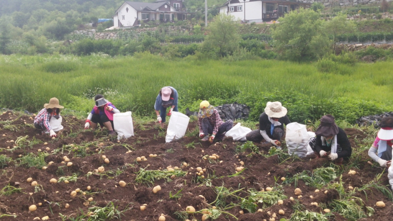 ��õ ��ó�Ը��� ���ڼ�Ȯ(2015�� 7�� 6��)