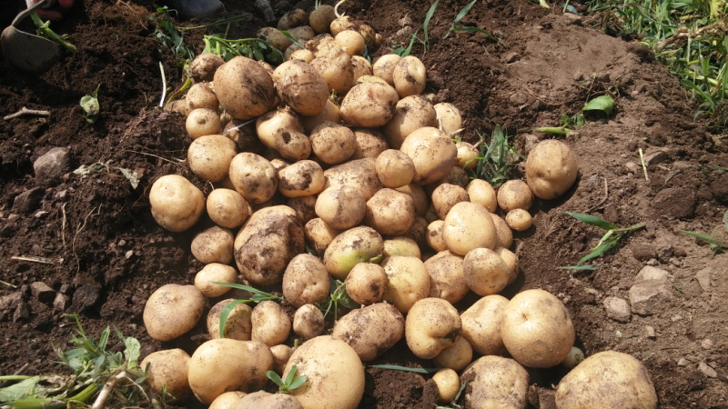 ��õ ��ó�Ը��� ���ڼ�Ȯ(2015�� 7�� 6��)