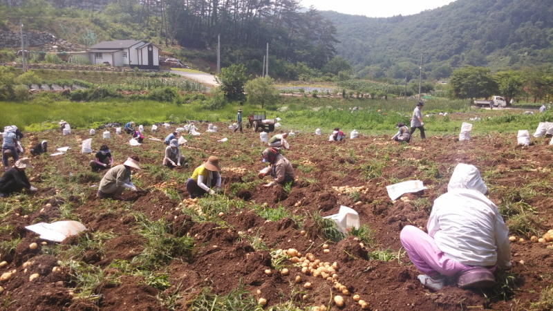 ��õ ��ó�Ը��� ���ڼ�Ȯ(2015�� 7�� 6��)