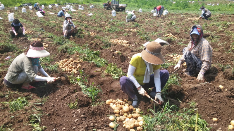 ��õ ��ó�Ը��� ���ڼ�Ȯ(2015�� 7�� 6��)