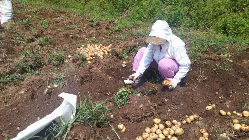 ��õ ��ó�Ը��� ���ڼ�Ȯ(2015�� 7�� 6��)