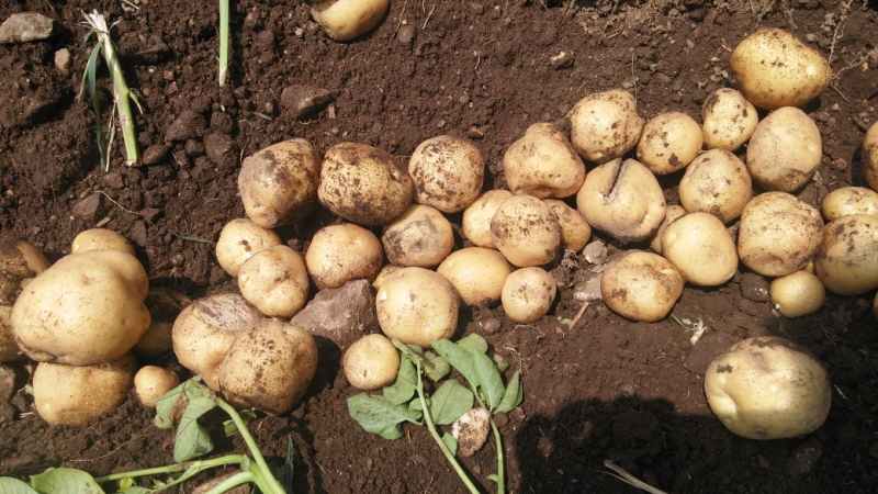 ��õ ��ó�Ը��� ���ڼ�Ȯ(2015�� 7�� 6��)