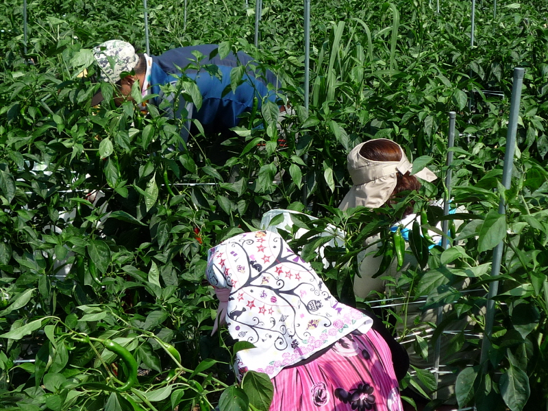 ��õ ��ó�� ���� ���� ��Ȯ ���(2015.8.17~18)