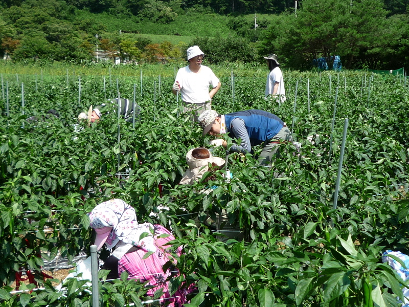 ��õ ��ó�� ���� ���� ��Ȯ ���(2015.8.17~18)